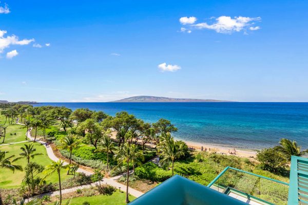 83830043 480755092869646 4164688723025330176 O